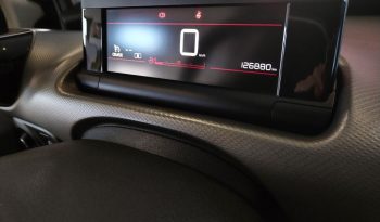 Citroen C4 Cactus 1.6 BlueHdi Shine completo