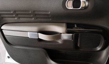 Citroen C4 Cactus 1.6 BlueHdi Shine completo