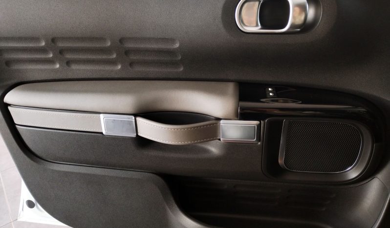 Citroen C4 Cactus 1.6 BlueHdi Shine completo