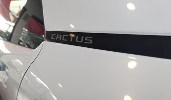 Citroen C4 Cactus 1.6 BlueHdi Shine completo