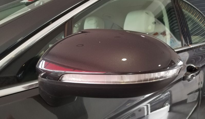 Volkswagen Passat 2.0 TDi Business DSG completo